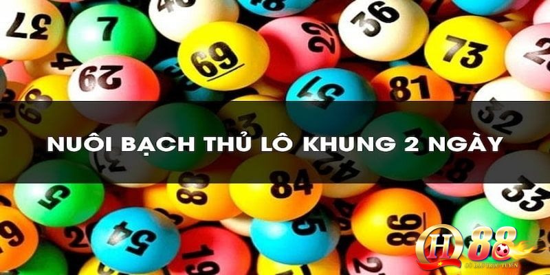 Tại sao anh em lô thủ nên lựa chọn cách thức nuôi bạch thủ lô khung 2 ngày?